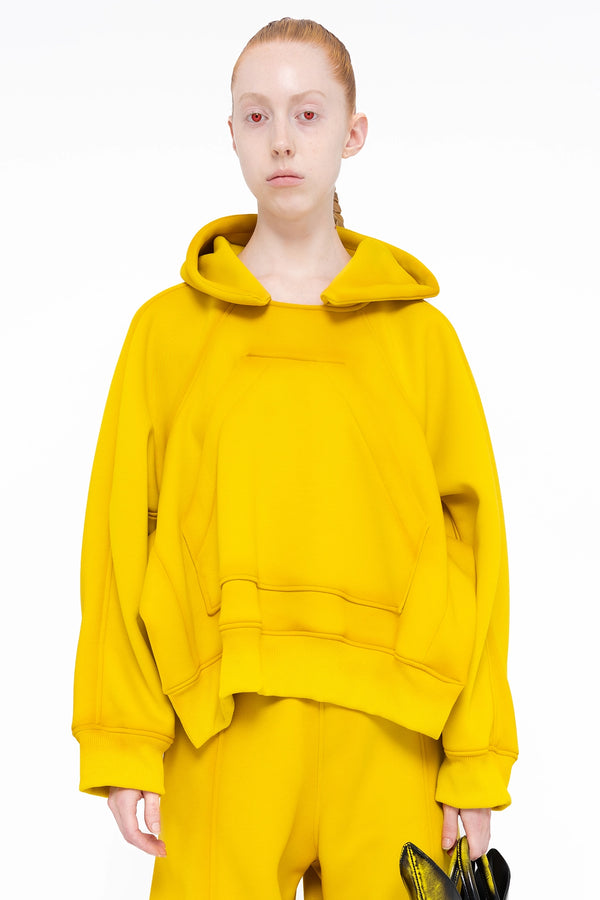 female-wearing-yellow-hoodie-with-spray-paint-on-white-background-close-up-torso-front