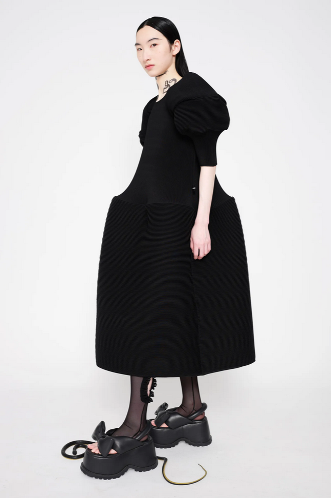 Big Sleeve Ripple Dress